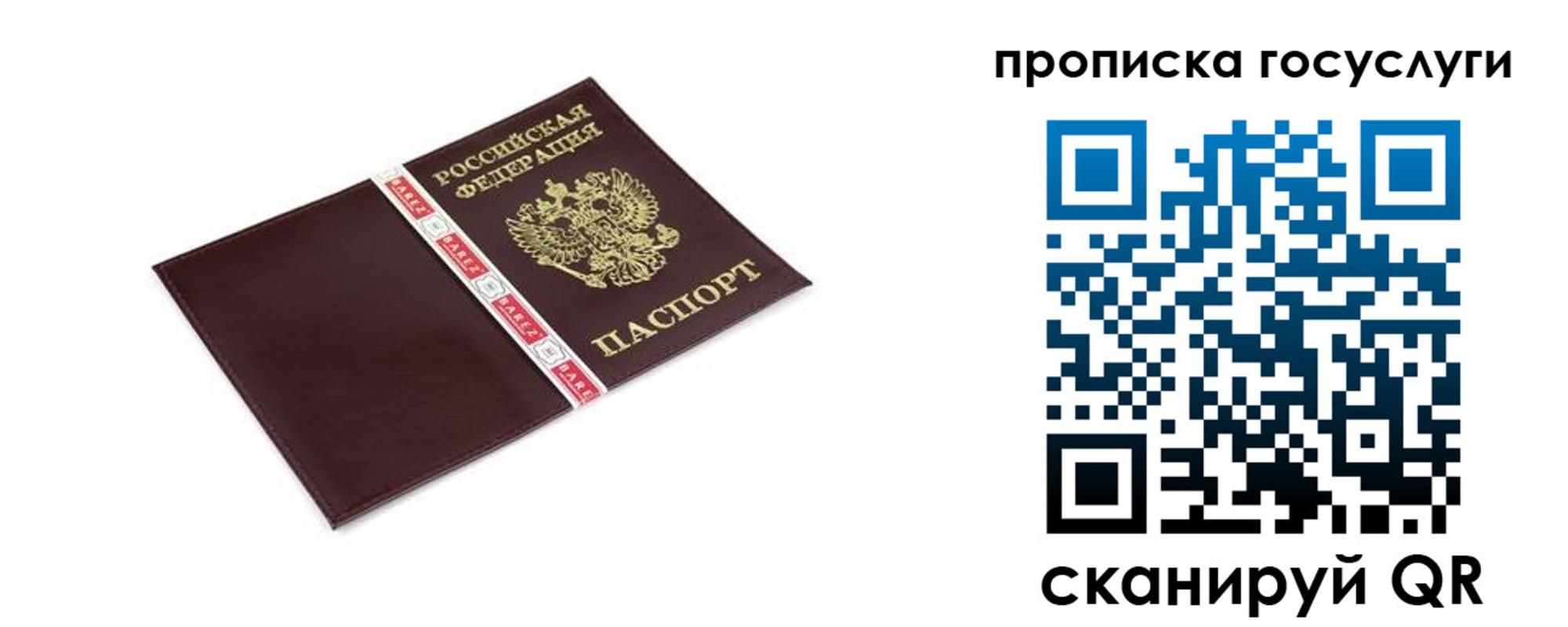 временная регистрация госуслуги в Ленинградской области